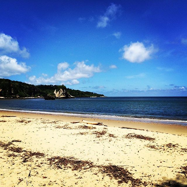 癒される石垣島のどこかのビーチ。 #石垣島 #ビーチ #ishigakijima